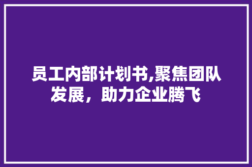 员工内部计划书,聚焦团队发展，助力企业腾飞