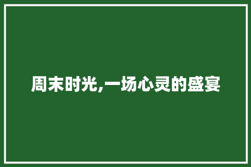 周末时光,一场心灵的盛宴