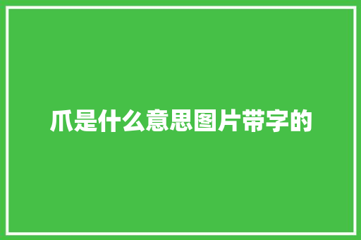 爪是什么意思图片带字的