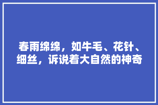 春雨绵绵，如牛毛、花针、细丝，诉说着大自然的神奇