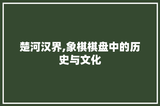 楚河汉界,象棋棋盘中的历史与文化