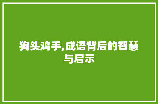 狗头鸡手,成语背后的智慧与启示