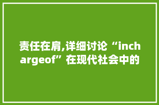 责任在肩,详细讨论“inchargeof”在现代社会中的运用与影响