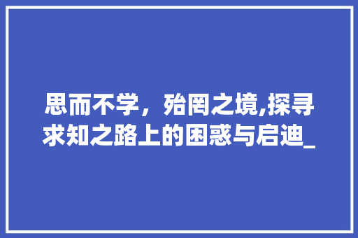 思而不学，殆罔之境,探寻求知之路上的困惑与启迪_思而不学则殆罔字的意思