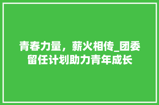 青春力量，薪火相传_团委留任计划助力青年成长
