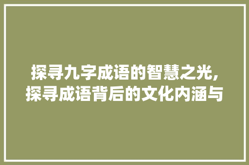探寻九字成语的智慧之光,探寻成语背后的文化内涵与生活智慧_九个字的成语及意思大全