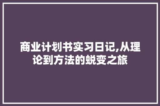商业计划书实习日记,从理论到方法的蜕变之旅