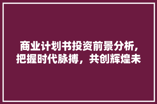 商业计划书投资前景分析,把握时代脉搏，共创辉煌未来