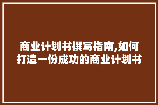 商业计划书撰写指南,如何打造一份成功的商业计划书