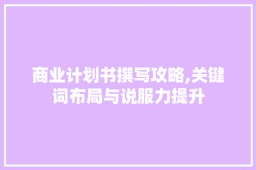 商业计划书撰写攻略,关键词布局与说服力提升
