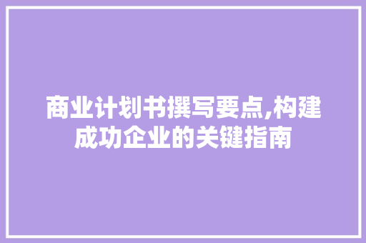 商业计划书撰写要点,构建成功企业的关键指南