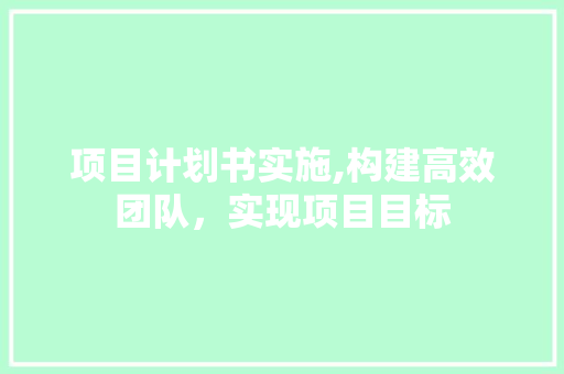 项目计划书实施,构建高效团队，实现项目目标