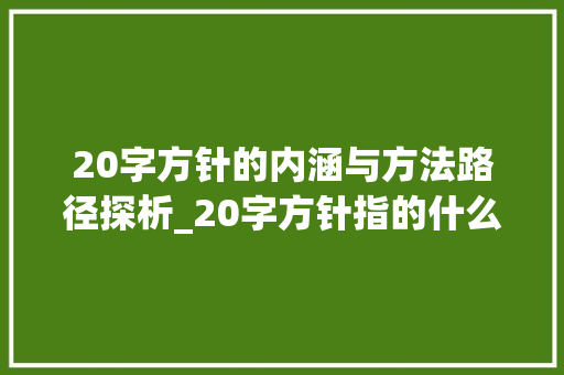 20字方针的内涵与方法路径探析_20字方针指的什么意思