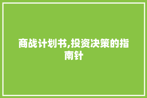 商战计划书,投资决策的指南针
