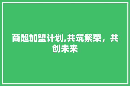 商超加盟计划,共筑繁荣，共创未来