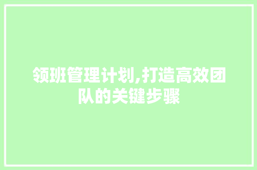 领班管理计划,打造高效团队的关键步骤