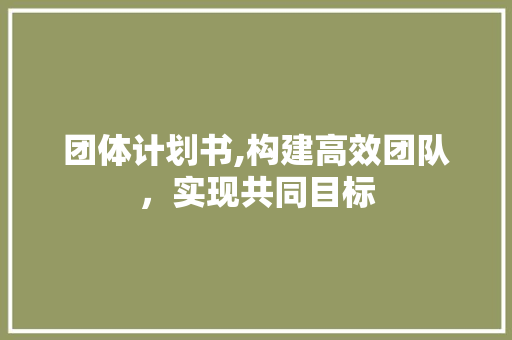 团体计划书,构建高效团队，实现共同目标