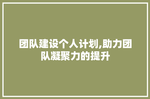 团队建设个人计划,助力团队凝聚力的提升 工作计划