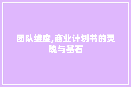 团队维度,商业计划书的灵魂与基石