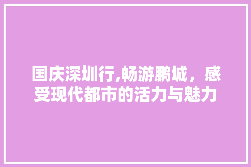 国庆深圳行,畅游鹏城，感受现代都市的活力与魅力