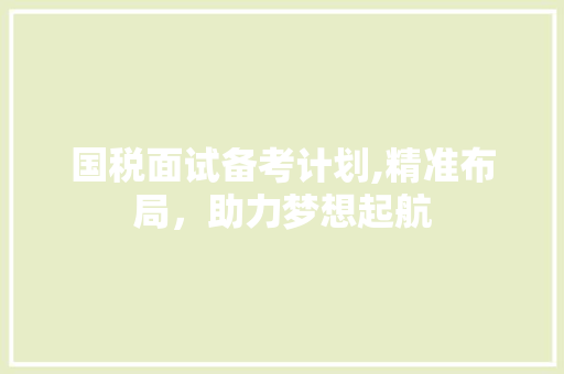 国税面试备考计划,精准布局，助力梦想起航