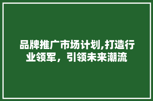 品牌推广市场计划,打造行业领军，引领未来潮流