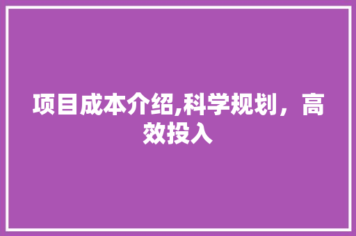 项目成本介绍,科学规划，高效投入