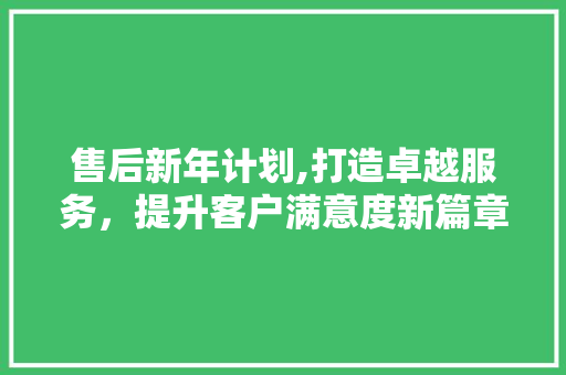 售后新年计划,打造卓越服务，提升客户满意度新篇章