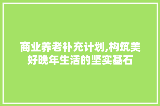 商业养老补充计划,构筑美好晚年生活的坚实基石