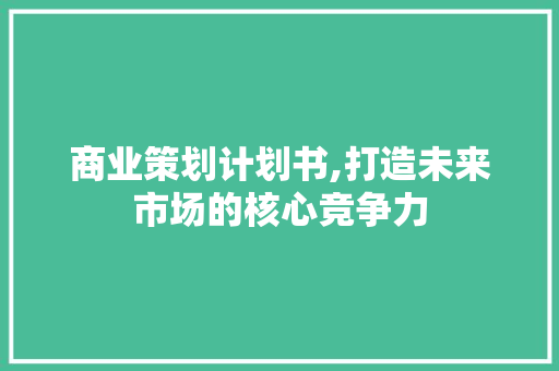 商业策划计划书,打造未来市场的核心竞争力