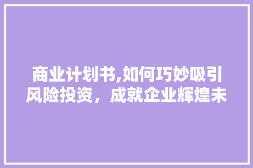 商业计划书,如何巧妙吸引风险投资，成就企业辉煌未来