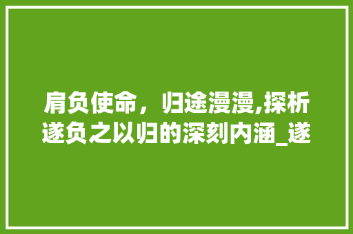 肩负使命，归途漫漫,探析遂负之以归的深刻内涵_遂负之以归的负字的意思