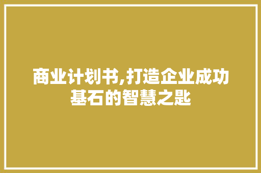 商业计划书,打造企业成功基石的智慧之匙