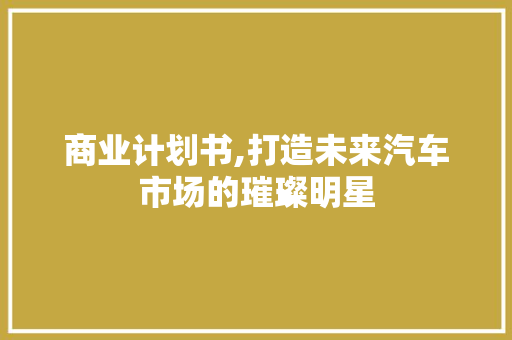 商业计划书,打造未来汽车市场的璀璨明星