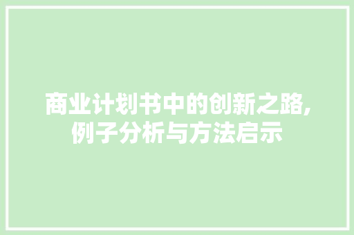 商业计划书中的创新之路,例子分析与方法启示