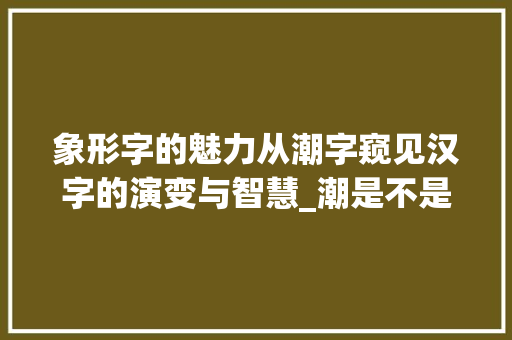 象形字的魅力从潮字窥见汉字的演变与智慧_潮是不是象形字的意思呢