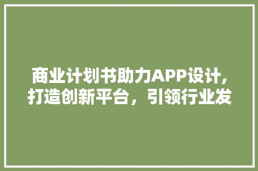 商业计划书助力APP设计,打造创新平台，引领行业发展