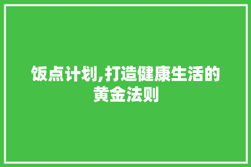 饭点计划,打造健康生活的黄金法则