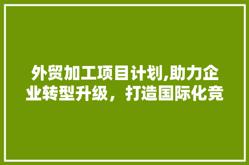 外贸加工项目计划,助力企业转型升级，打造国际化竞争力