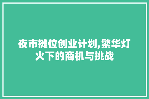 夜市摊位创业计划,繁华灯火下的商机与挑战