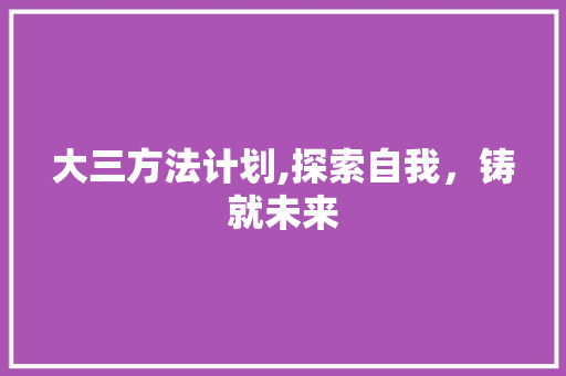 大三方法计划,探索自我，铸就未来