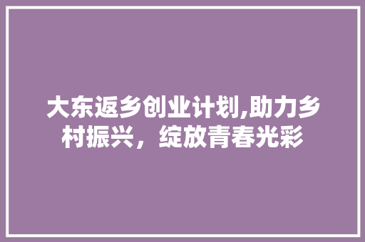 大东返乡创业计划,助力乡村振兴，绽放青春光彩