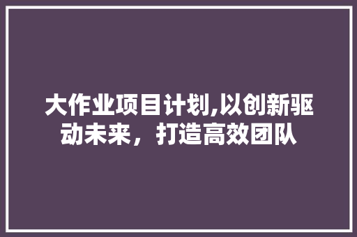 大作业项目计划,以创新驱动未来，打造高效团队