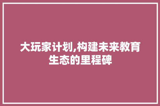 大玩家计划,构建未来教育生态的里程碑