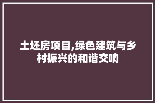 土坯房项目,绿色建筑与乡村振兴的和谐交响