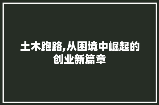 土木跑路,从困境中崛起的创业新篇章