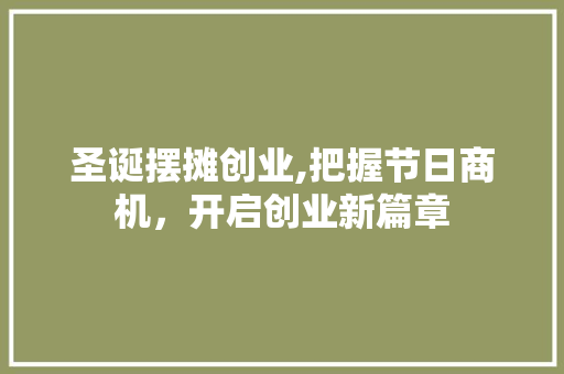 圣诞摆摊创业,把握节日商机，开启创业新篇章