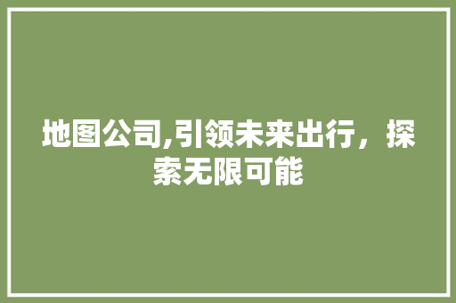 地图公司,引领未来出行，探索无限可能