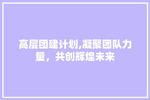 高层团建计划,凝聚团队力量，共创辉煌未来