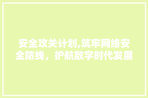 安全攻关计划,筑牢网络安全防线，护航数字时代发展